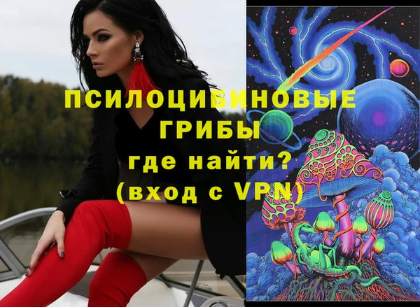 индика Абинск